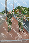 Evenement foto: Nijmeegse Vierdaagse 925