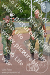 Evenement foto: Nijmeegse Vierdaagse 925