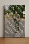 Evenement foto: Nijmeegse Vierdaagse 925