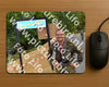 Evenement foto: Nijmeegse Vierdaagse 925