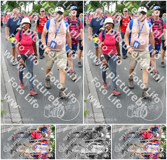 Evenement foto: Nijmeegse Vierdaagse 682