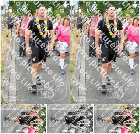 Evenement foto: Nijmeegse Vierdaagse 682