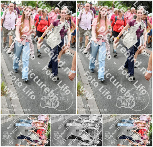 Evenement foto: Nijmeegse Vierdaagse 682