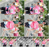 Evenement foto: Nijmeegse Vierdaagse 682