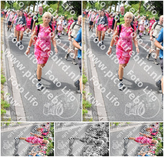 Evenement foto: Nijmeegse Vierdaagse 682