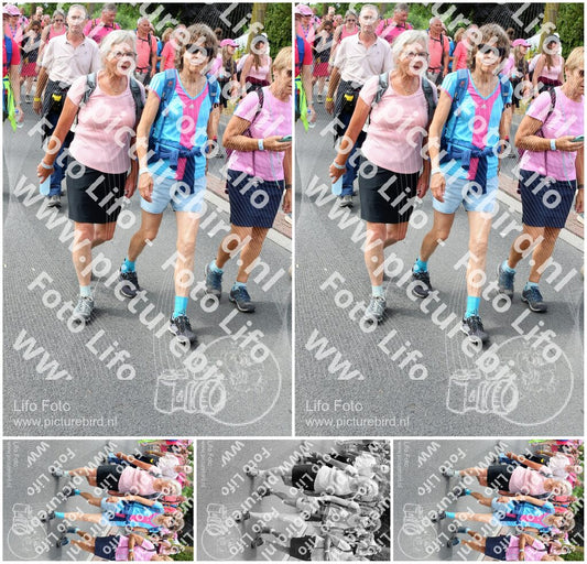 Evenement foto: Nijmeegse Vierdaagse 682