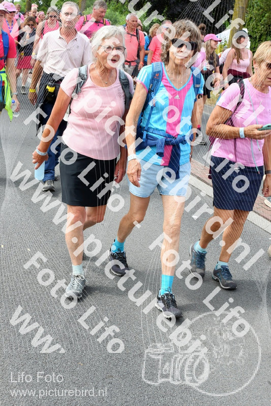 Evenement foto: Nijmeegse Vierdaagse 682