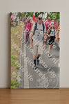 Evenement foto: Nijmeegse Vierdaagse 682