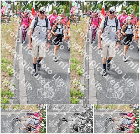 Evenement foto: Nijmeegse Vierdaagse 682
