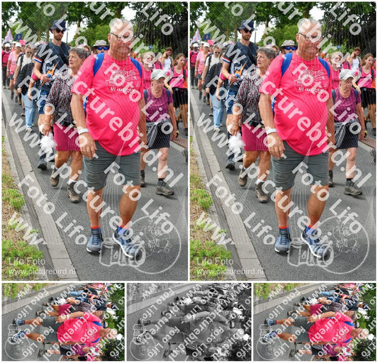 Evenement foto: Nijmeegse Vierdaagse 682