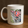 Evenement foto: Nijmeegse Vierdaagse 682
