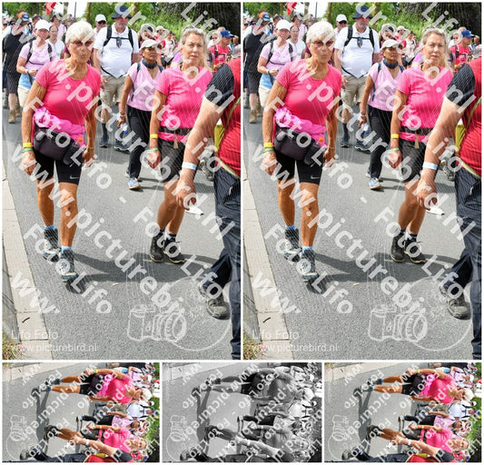 Evenement foto: Nijmeegse Vierdaagse 682