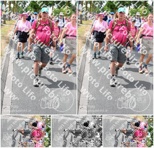 Evenement foto: Nijmeegse Vierdaagse 682