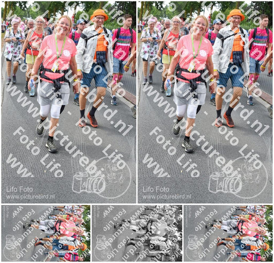 Evenement foto: Nijmeegse Vierdaagse 682