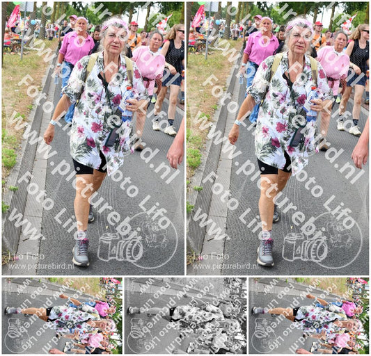 Evenement foto: Nijmeegse Vierdaagse 682