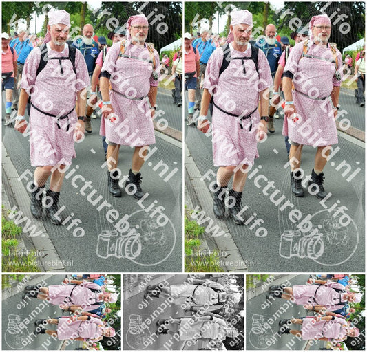 Evenement foto: Nijmeegse Vierdaagse 682