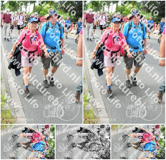 Evenement foto: Nijmeegse Vierdaagse 682