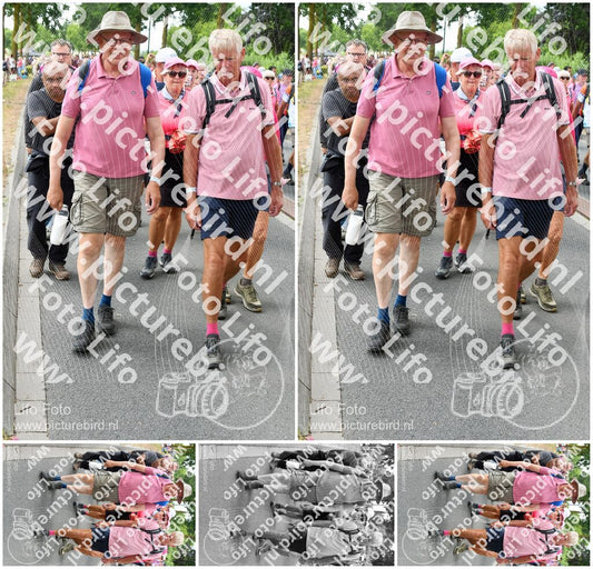 Evenement foto: Nijmeegse Vierdaagse 682