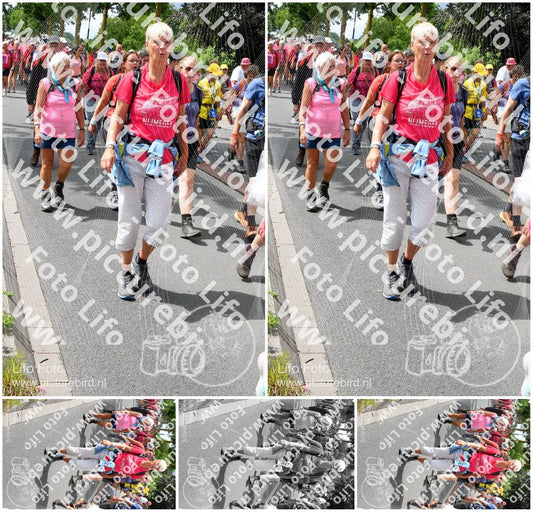 Evenement foto: Nijmeegse Vierdaagse 682