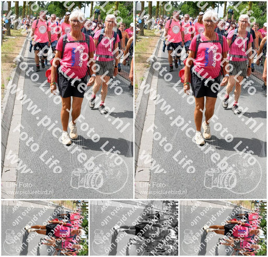 Evenement foto: Nijmeegse Vierdaagse 682
