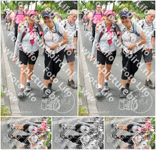 Evenement foto: Nijmeegse Vierdaagse 682