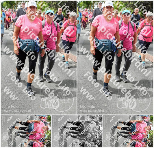 Evenement foto: Nijmeegse Vierdaagse 682