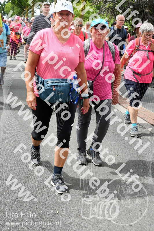 Evenement foto: Nijmeegse Vierdaagse 682
