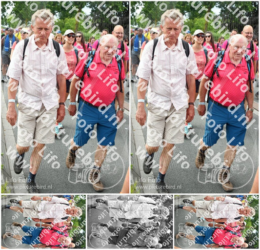 Evenement foto: Nijmeegse Vierdaagse 682