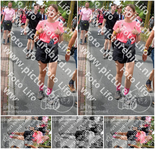 Evenement foto: Nijmeegse Vierdaagse 681