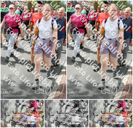 Evenement foto: Nijmeegse Vierdaagse 681