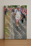 Evenement foto: Nijmeegse Vierdaagse 681