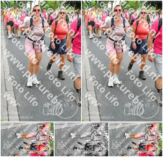 Evenement foto: Nijmeegse Vierdaagse 681