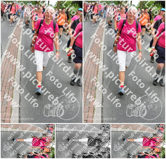 Evenement foto: Nijmeegse Vierdaagse 681