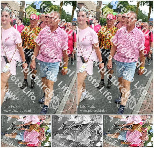 Evenement foto: Nijmeegse Vierdaagse 681