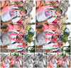 Evenement foto: Nijmeegse Vierdaagse 681