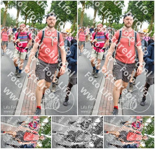 Evenement foto: Nijmeegse Vierdaagse 681