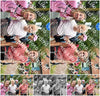 Evenement foto: Nijmeegse Vierdaagse 681