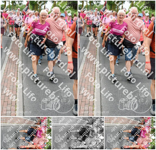 Evenement foto: Nijmeegse Vierdaagse 681