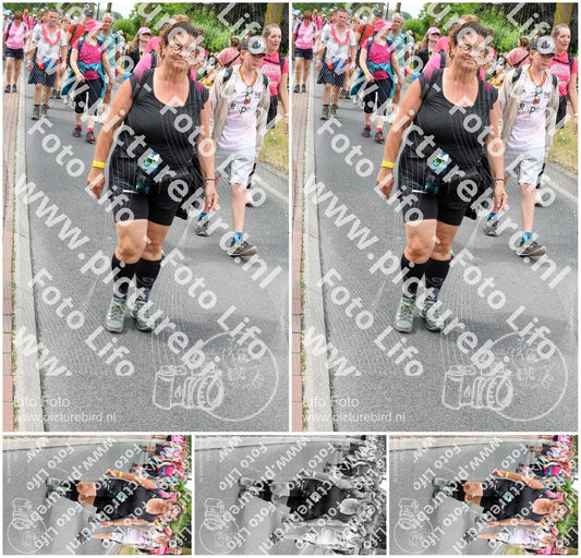Evenement foto: Nijmeegse Vierdaagse 681