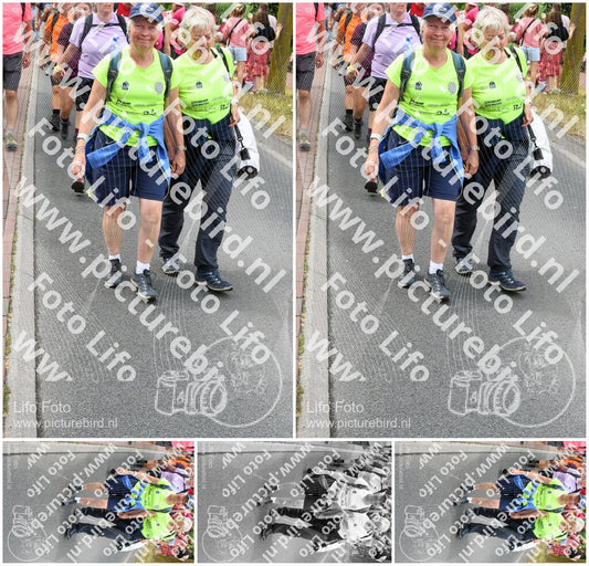 Evenement foto: Nijmeegse Vierdaagse 681