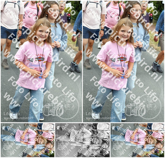 Evenement foto: Nijmeegse Vierdaagse 681