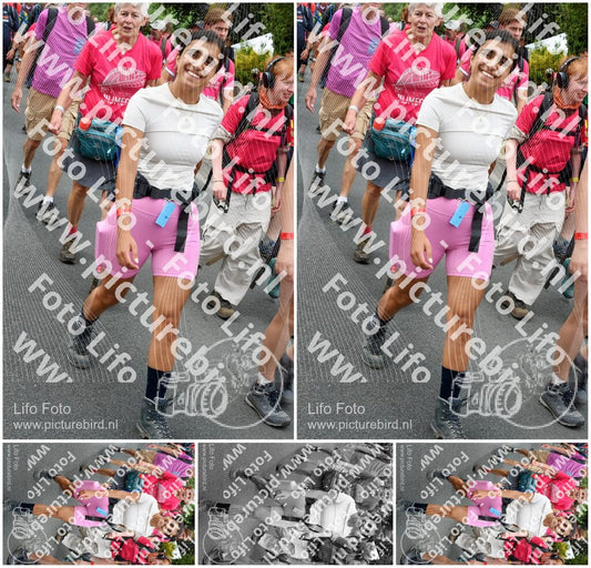 Evenement foto: Nijmeegse Vierdaagse 681