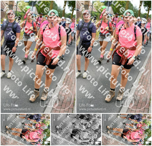 Evenement foto: Nijmeegse Vierdaagse 681