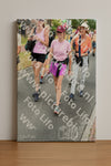 Evenement foto: Nijmeegse Vierdaagse 681