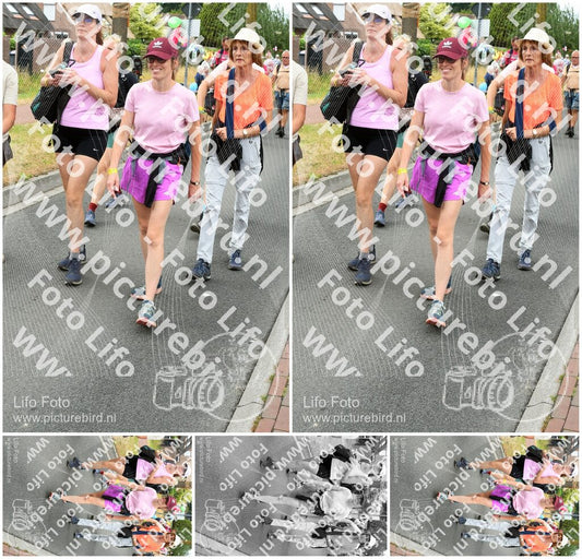 Evenement foto: Nijmeegse Vierdaagse 681