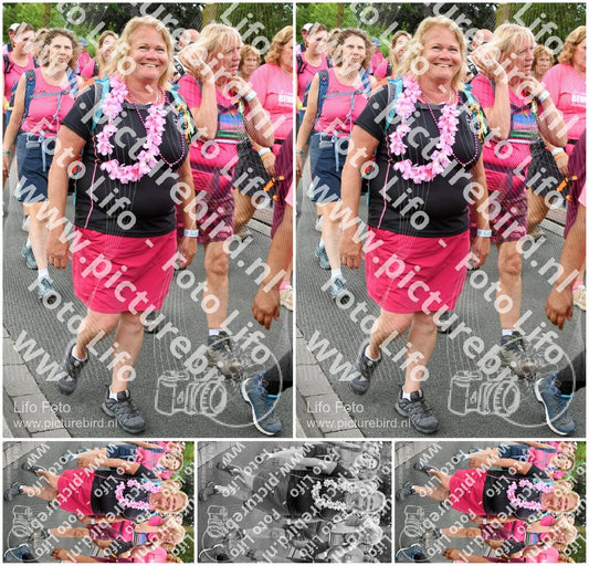 Evenement foto: Nijmeegse Vierdaagse 681