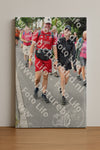 Evenement foto: Nijmeegse Vierdaagse 680