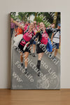 Evenement foto: Nijmeegse Vierdaagse 680