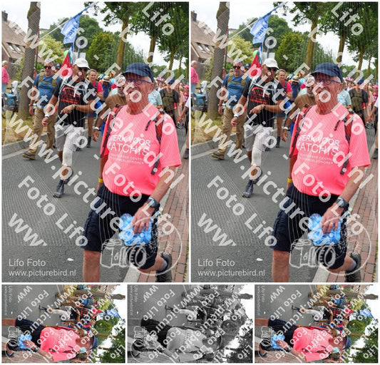Evenement foto: Nijmeegse Vierdaagse 680
