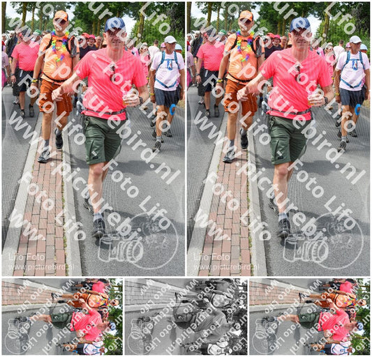 Evenement foto: Nijmeegse Vierdaagse 680